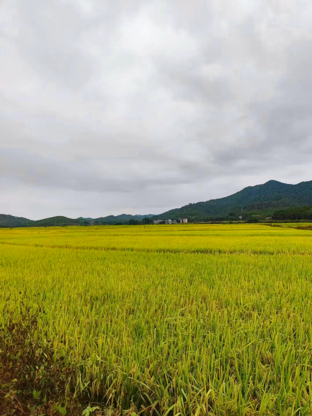 中国·7163银河(股份)有限公司-官方网站