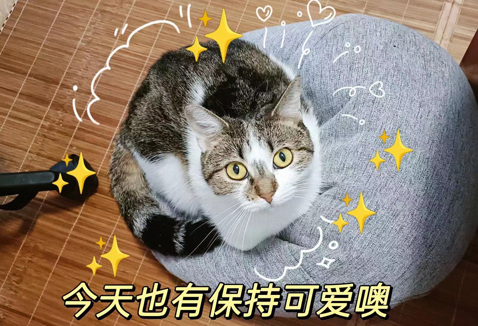 中国·7163银河(股份)有限公司-官方网站